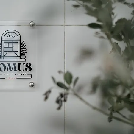 Domus - Cesare - * Bari
